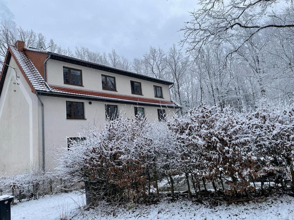 Apartment Am Hochwald Reinhardtsdorf-Schona Exteriér fotografie