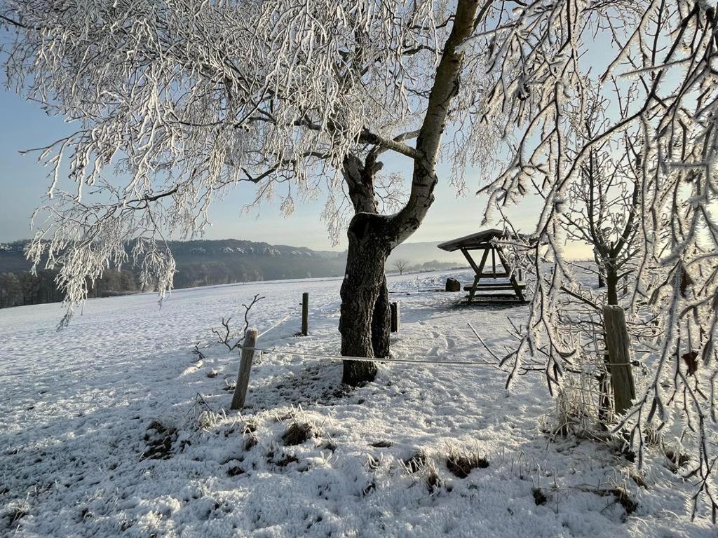 Apartment Am Hochwald Reinhardtsdorf-Schona Exteriér fotografie