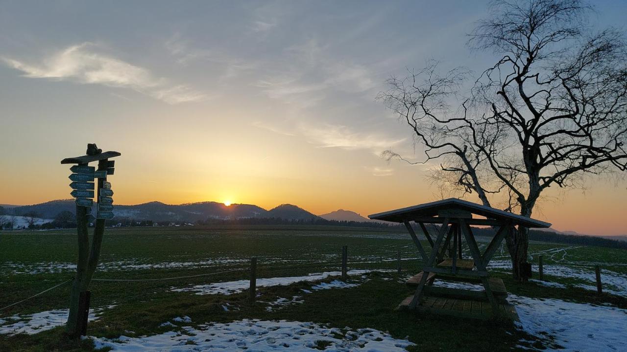 Apartment Am Hochwald Reinhardtsdorf-Schona Exteriér fotografie