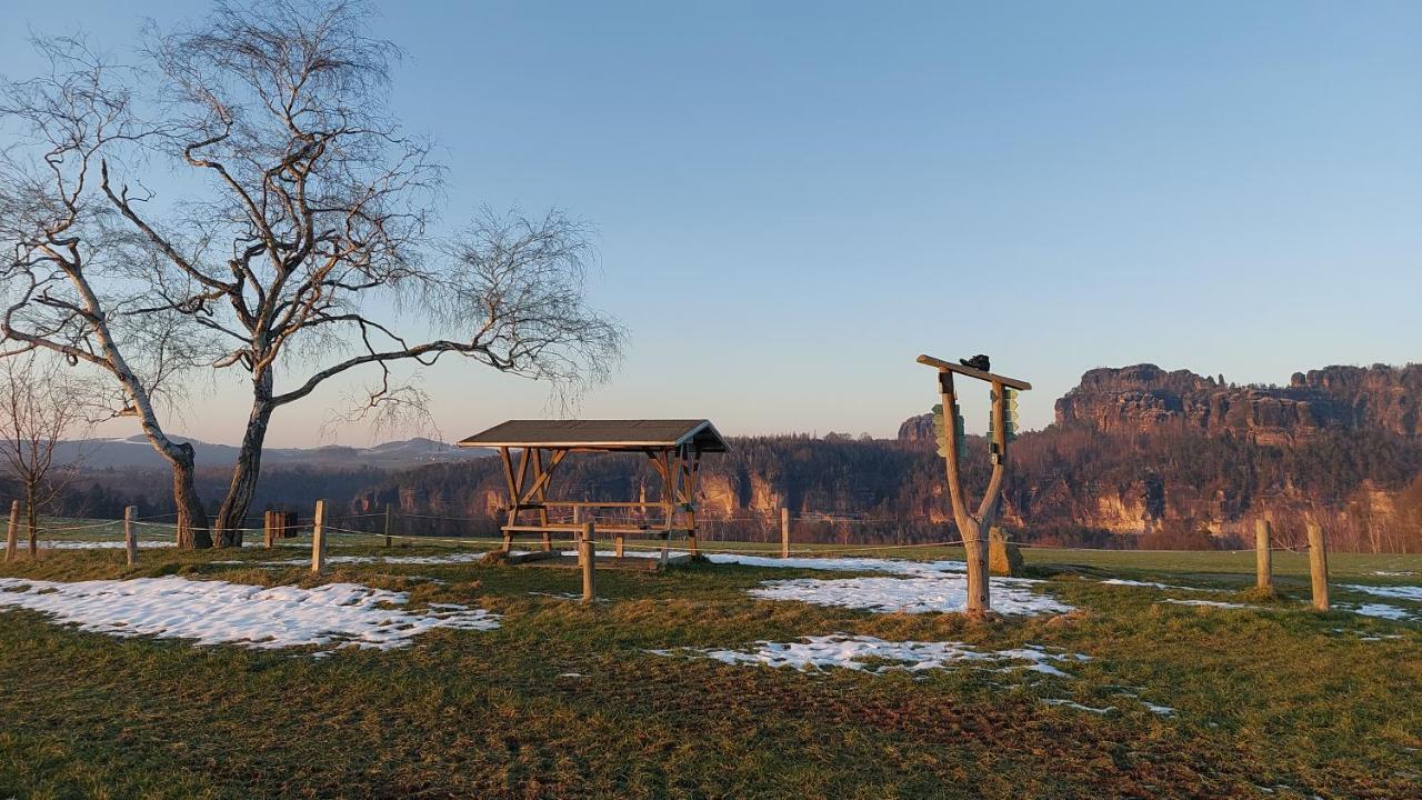 Apartment Am Hochwald Reinhardtsdorf-Schona Exteriér fotografie